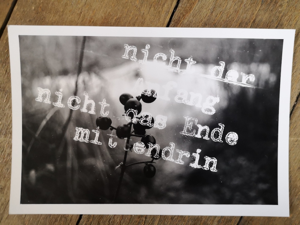 mittendrin