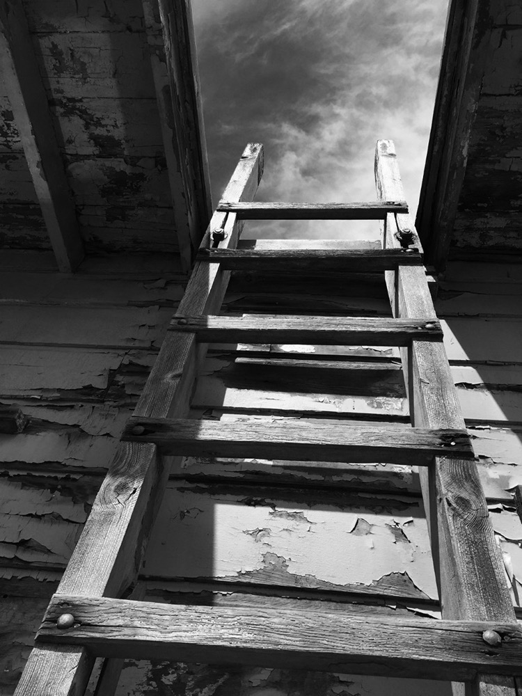 Ladder - Climbing Out of The Pandemic Hole